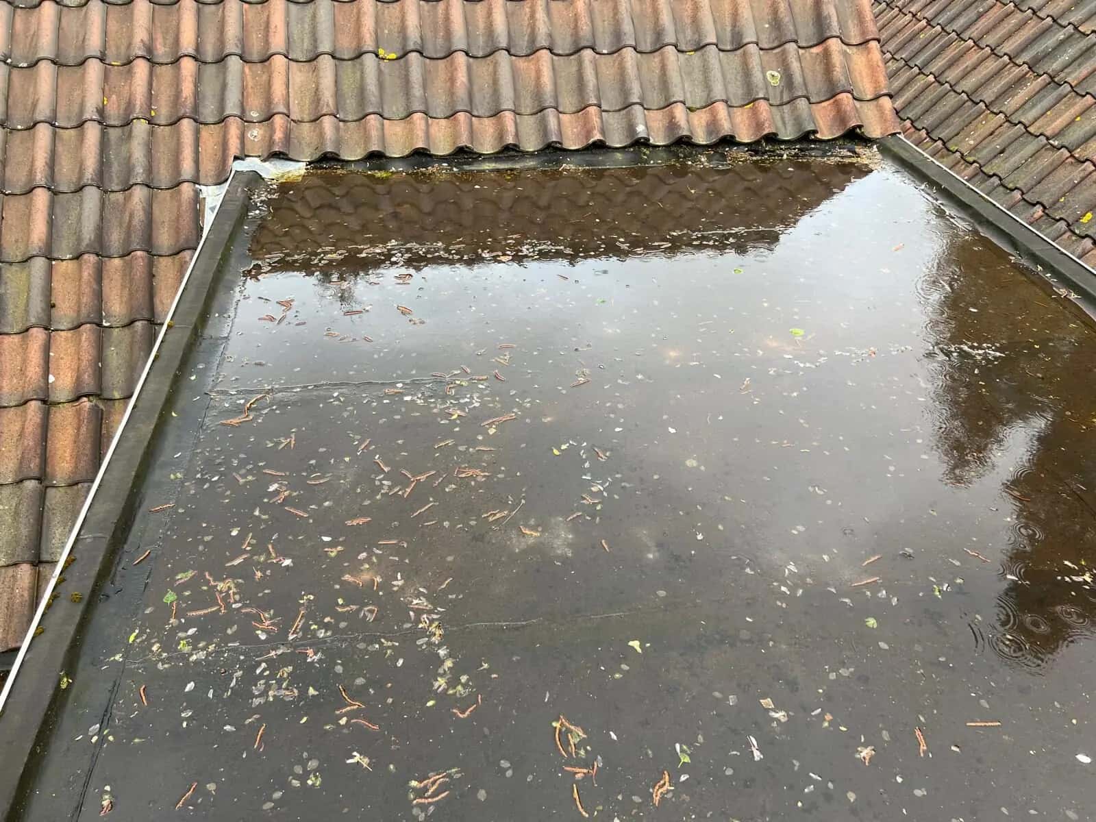 Plat dak tussen pannendaken volledig onder water met blad en vuil