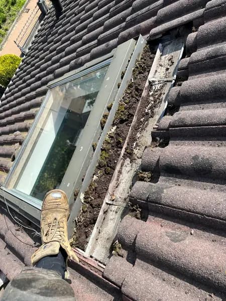Vóór het werk: vervuilde goot met mos en vuil langs een dakraam in een pannendak